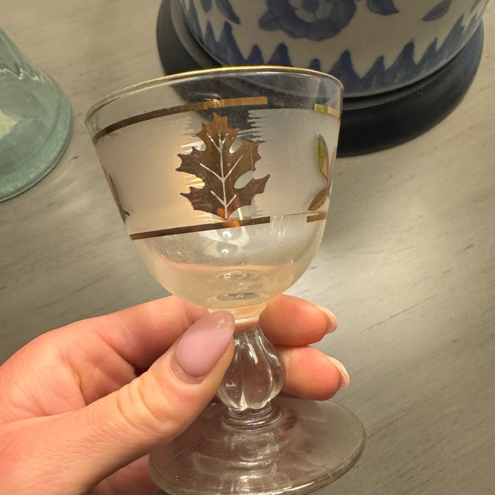Set of six fall vintage cordial glasses